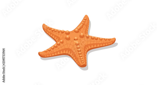 Foto Orange bumpy starfish on white background