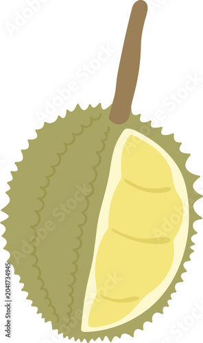 Hand-drawn durian fruit illustration