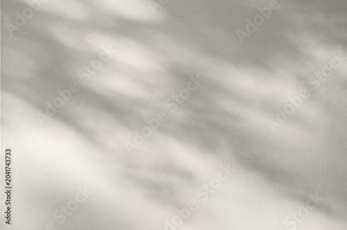 Minimal beige wall background with soft natural light and shadow overlay creating. Perfect for product mockups or presentation templates