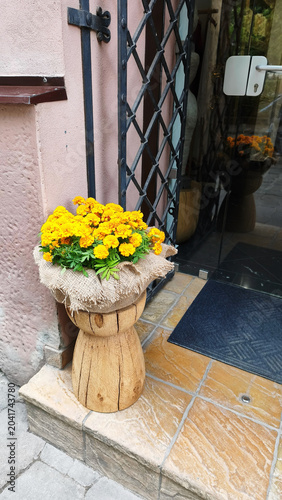 Yellow marigold flowers in rustic wooden planter near entrance door
