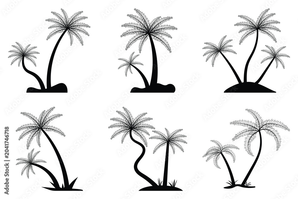 Naklejka premium Palm trees vector illustration, Tropical nature element. Set of vector black silhouettes of palm trees isolated on a white background. Eps 10.