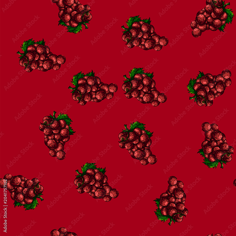 Fototapeta premium pattern grape bunch red hand drawn. green fruit, vine food, wine fresh, berry purple, leaf autumn grape bunch red vector sketch illustration