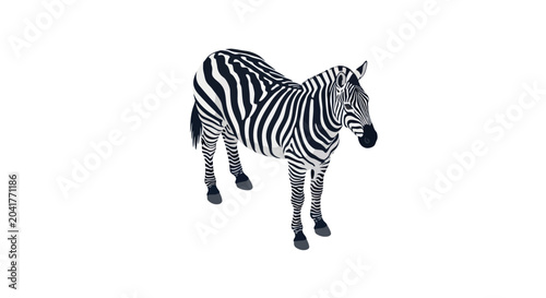 Bild auf Leinwand Zebra standing with characteristic black and white stripes