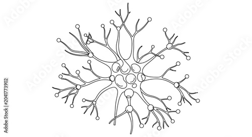 Photos Detailed line drawing of a neuron with branching dendrites and cell body