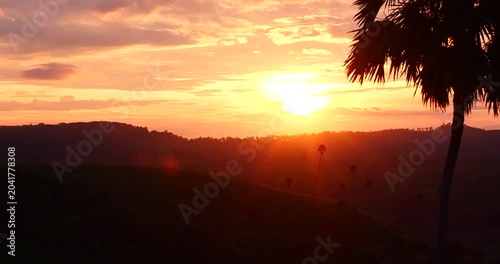 Silhouette tranquil season wilderness serene landscape. Tranquil lake countryside sunrise seaside reflection. Tropical amazing dramatic golden sky on sunset over scenic river lake seascape ocean