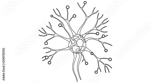 Detailed line drawing of a neuron with cell body and branching dendrites