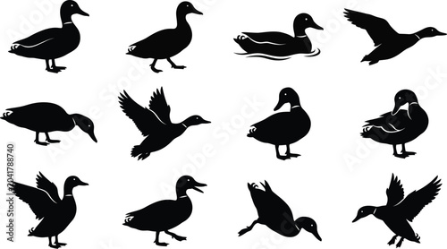 duck silhouettes on white background silhouette animal