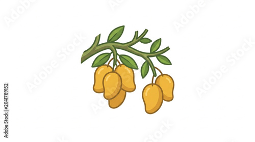 Fotografie Ripe Mangoes Hanging From A Tree Branch With Green Leaves.
