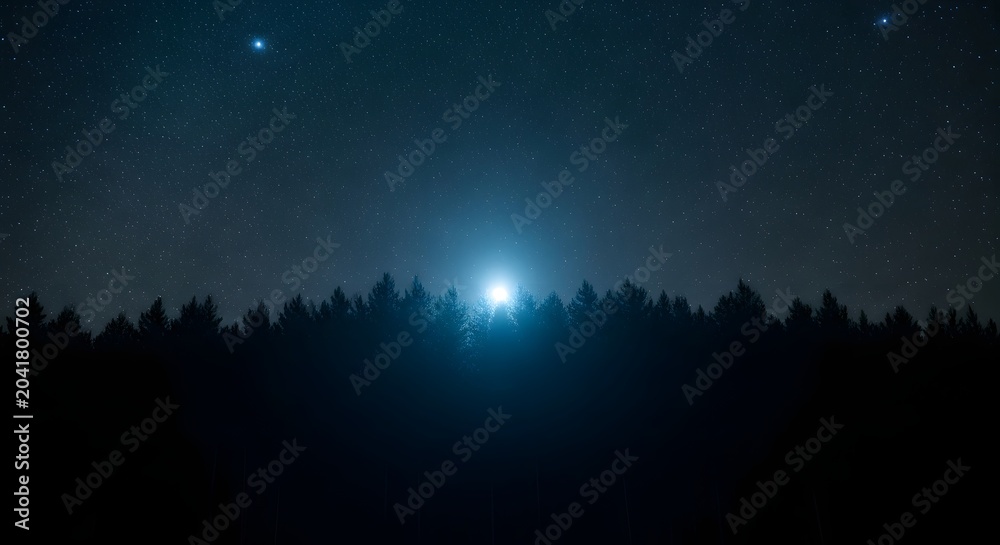 Obraz premium Forest silhouette under a starry night sky
