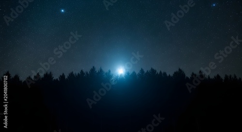 Forest silhouette under a starry night sky