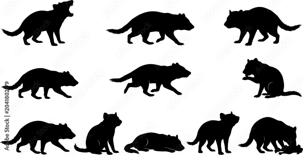 Fototapeta premium Bundle of tasmanian devil silhouettes showing various aggressive and resting poses for graphics