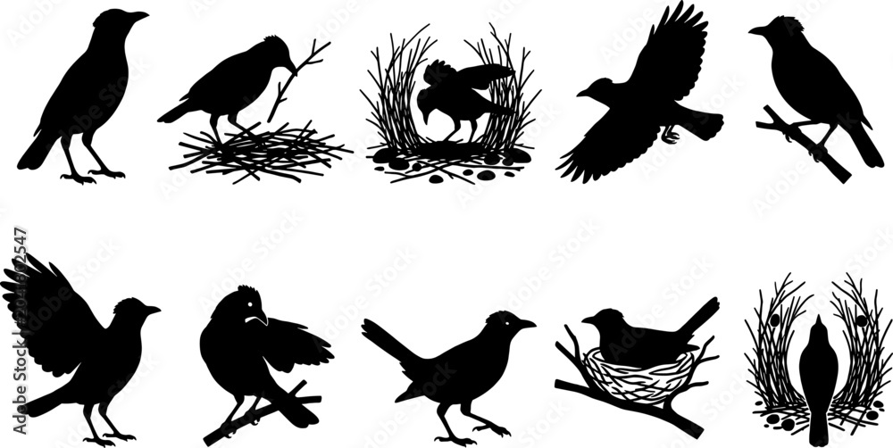 Fototapeta premium Crow and raven silhouette collection showing nesting behavior and flying actions in a graphic set