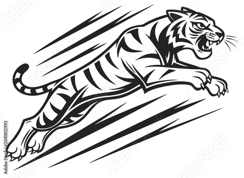 Black and white tiger picture