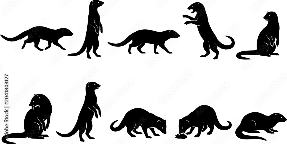 Obraz premium Mongoose silhouette set depicting various predatory and alert behaviors for nature and wildlife design