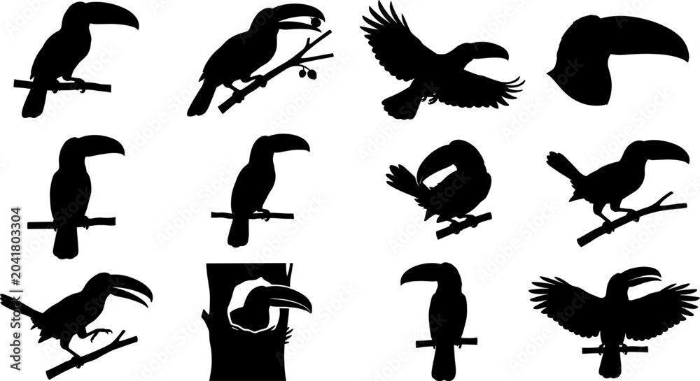 Fototapeta premium Pack of toucan silhouettes perching and flying in a tropical bird bundle