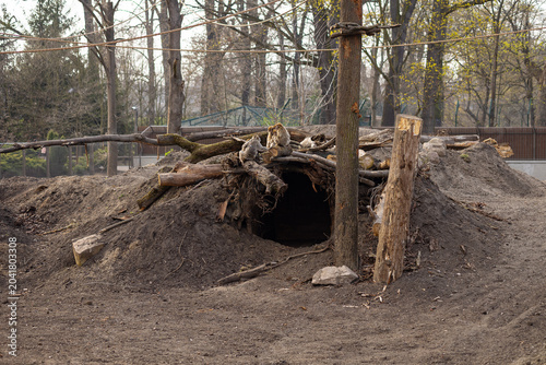 Photography Naturalistic monkey enclosure with underground shelter made of logs and soil in