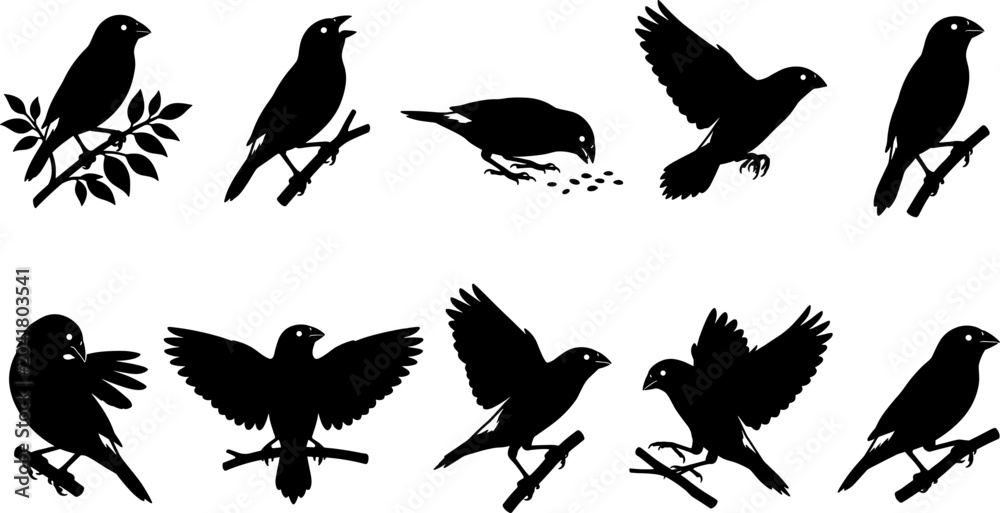 Naklejka premium Set of finch bird silhouettes perching on branches and flying for nature graphic design