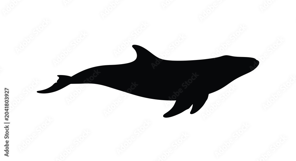 Obraz premium whale silhouette on white background black animal