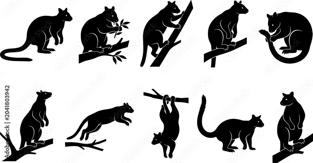 Obraz premium Variety of tree kangaroo silhouettes climbing and eating in a wildlife bundle