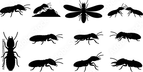 Variety of termite silhouettes showing winged and crawling forms for pest control design