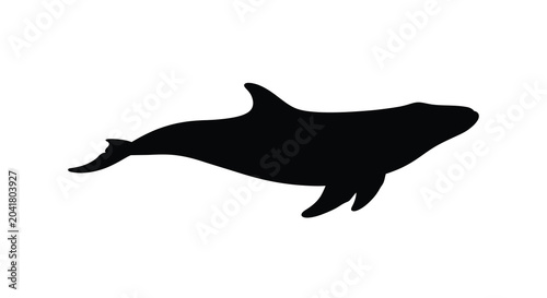Bild auf Leinwand whale silhouette on white background black animal