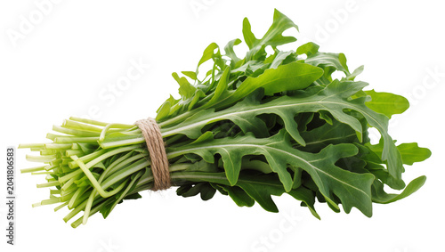 Foto Fresh arugula leaves tied with twine