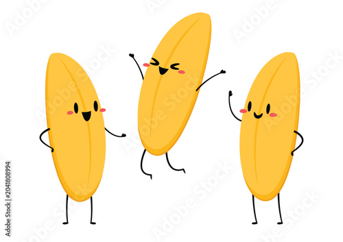 Paddy character design. rice vector on white background. rice seed.