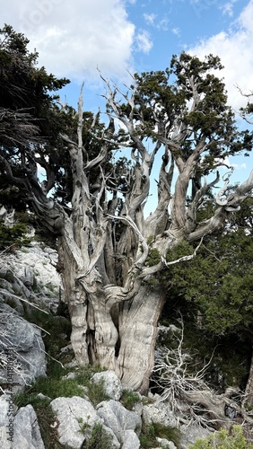 The Unyielding Spirit of the Anatolian Peaks