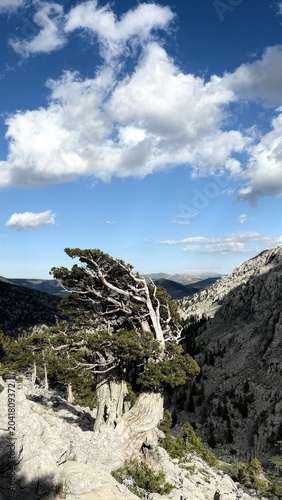 Wind-Carved Wonders of Turkey