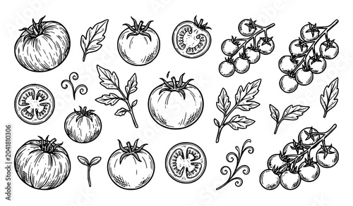 Tableau sur toile Tomato Vegetable Sketch Collection Vector Illustration Bundle for Packaging