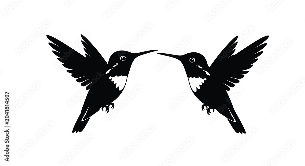 Obraz premium two hummingbirds facing each other silhouette hummingbird
