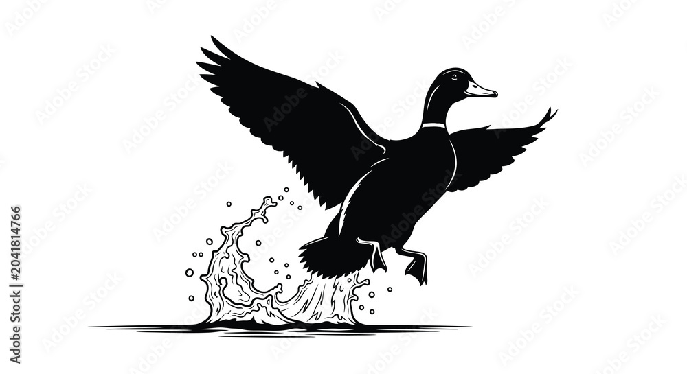 Fototapeta premium duck silhouette taking off bird animal black