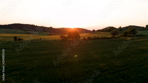 Golden Hour Sunset Over Rolling Green Fields with Distant Trees and Hills