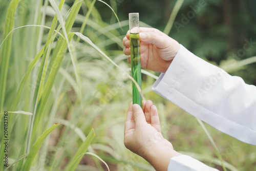 Foto A close-up shot of a researcher in a white lab coat holding a glass test tube filled with green liquid extract while examining a long, slender green leaf in a natural outdoor environment