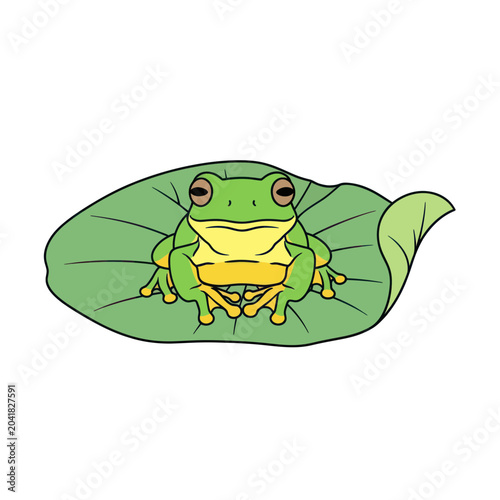 Foto Green Frog Sitting on a Large Leaf
