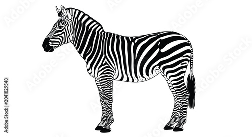 Canvas Print zebra silhouette on white background animal stripes
