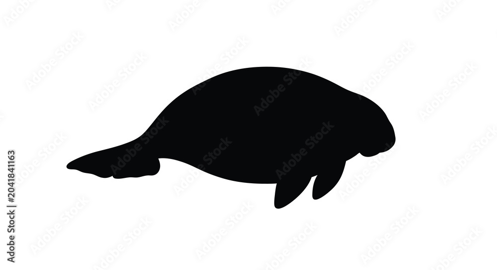 Fototapeta premium manatee silhouette on white background marine animal