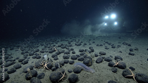 Deep sea abyssal plain with scattered polymetallic nodules and faint sediment plume from a distant submersible, showing early exploration for deep ocean resources.