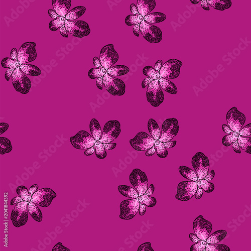 Photos pattern vanda orchid hand drawn