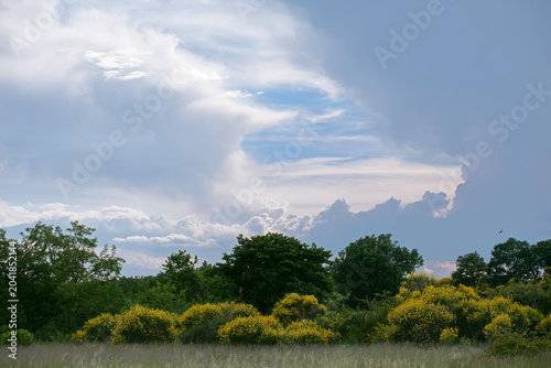 Ciel orageux de fin de journée avec trouée de ciel bleu et une grande diversité de formes de nuages qui s