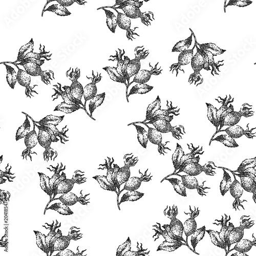 Canvas-taulu seamless pattern rosehip plant fresh hand drawn