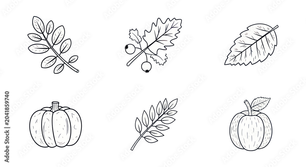 Fototapeta premium Hand-drawn botanical illustrations of leaves and pumpkins, perfect for nature-themed designs and eco-friendly projects.