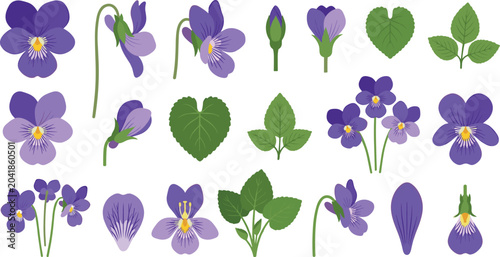 Φωτογραφία Purple Violet and Pansy Flower Botanical Vector Elements Set Featuring Wild Viol