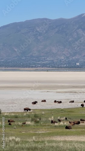 View of the Great Salt Lake near Salt Lake City in Utah, view from Antelope Island