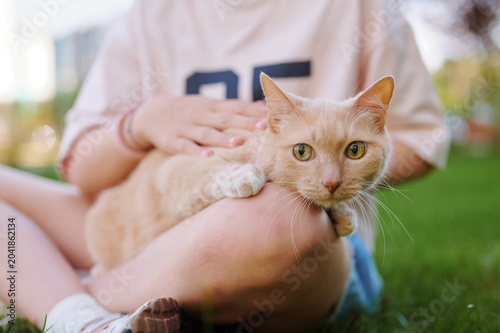 Photography Girl holding a ginger cat on her lap outdoors