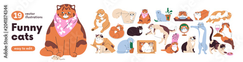 Funny cats set. Cute comic meme kitties. Happy and sad felines with amusing e...