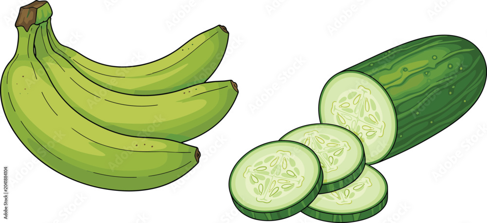 Obraz premium Fresh Green Plantain Banana Bunch and Sliced Cucumber Vector Set for Healthy Cooking Recipes, Organic Grocery Market Banners, and Tropical Food Illustrations