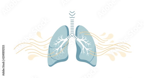 Human lungs illustration with flowing air breeze. Anatomy of respiratory system and organ breath concept. Medical educational graphic design for pulmonology, health check and lung disease.
