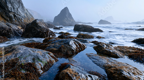 Dense coastal fog bank rolling landward across rocky intertidal zone, Pacific marine layer smothering sea stacks and kelp-strewn tidepools in viscous grey atmosphere, diffused oceanic light filterin