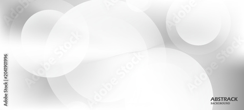 Tableau sur toile Elegant grayscale abstract composition featuring transparent circular forms, soft shadows, atmospheric lighting, and smooth tonal gradients